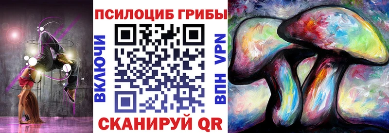 цена наркотик дарк нет официальный сайт Псилоцибиновые грибы Psilocybe Александровское